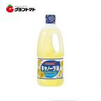 【1ケース】昭和産業（SHOWA）キャノーラ油　（1Ｌ×12本）【同梱不可】【送料無料】