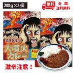  ультра . карри Aizu .. гора большой . огонь карри 200g×2 шт. комплект 
