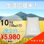 【数量限定！】生活応援米 令和6年産 10kg 白米 ブレンド米 会津産 訳あり （送料無料地域あり）備蓄米ではありません