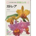 ( старая книга ) Cattleya .. свет один Япония радиовещание выпускать ассоциация AE5074 19760120 выпуск 