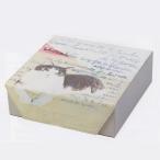 Manhattaner's(マンハッタナーズ) 収納ボックス 収納ケース 小物入れ/コレクションケース-2 アクセサリーケース 猫 ネコ おしゃれ/098411 (取)パール