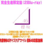 先着特典クリアファイル(外付) 完全生産