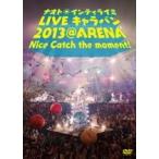 通常盤　ナオト・インティライミ　DVD/ナオト・インティライミ LIVE キャラバン 2013 ＠ARENA Nice catch the moment!　14/12/17発売　オリコン加盟店