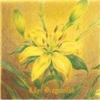 通常盤　Dragon Ash　CD/Lily　13/11/27発売　オリコン加盟店