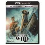  Disney 2Blu-ray/... .. голос 4K UHD 20/7/3 продажа Orrico n вступление магазин 