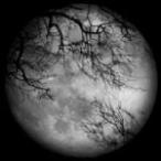 LUNA SEA CD+DVD/LUNA SEA　11/3/16発売　オリコン加盟店