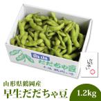 友達ギフト（カード付）渡部さんの極上早生だだちゃ豆 約1.2kg（03-S-OS）