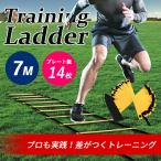 ラダートレーニング　トレーニングラダー 約7m 14枚 フットサル練習 陸上 瞬発力 敏捷性 アップ 部活 練習 野球 練習 バスケットボール送料無料