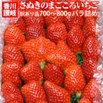 女峰いちご　訳ありご自宅用　700?800ｇバラ詰め　香川県三木町産　希少な幻の苺のご自宅用　さぬきのまごころいちごバラ詰め　送料無料