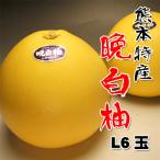 晩白柚ばんぺいゆL6玉約10kg送...