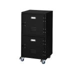 東谷 AZUMAYA チェスト 2D TPN-30BK