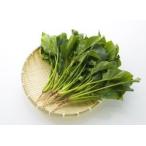  салат шпинат 2P [ Wakayama префектура производство ]