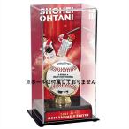 【 Fanatics Authentic