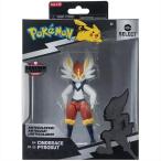 【Pokemon Select】 ポケモ