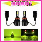 Catland LEDフォグランプ H8 H9 H11 H16 レモンイエロー イエロー 黄色 黄緑 フォグ バルブ 12V 24V 車用 LED フ