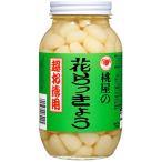 桃屋 花らっきょう 超お徳用 580gラッキョウ 小粒 福神漬 漬物 漬け物 カレー つまみ