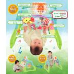 アイテムID:6031018の画像3枚目