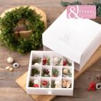 お買い得 クリスマス リース 手作りキット 初心者 親子 説明書、接着剤付き 誕生日 木の実 ギフト プリザーブド デコレット ノエル シャイン グロッシィ