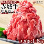 すき焼き しゃぶしゃぶ 用 赤城牛 肩ロース 切り落とし 1.6kg 200g×8パック 冷凍 国産牛 牛肉 メガ盛り 贈答品 ギフト