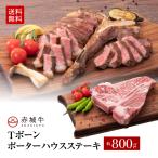 ステーキ 肉 お肉 牛肉 国産 骨付き 赤城牛 Tボーン ポーターハウス ヒレ サーロイン ステーキ 800g バーベキュー 焼肉 焼き肉 送料無料 冷凍