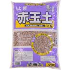  красный шар земля крупный 20L