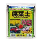  коррозия лист земля 2L