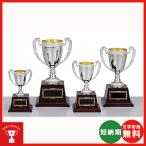  чемпионский кубок AS-9228-D: бейсбол * каратэ * Golf * футбол * копия * все жанр . победа кубок * чемпионский кубок 