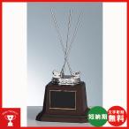  отверстие in one память отверстие in one Trophy B-6209: отверстие in one. памятный мяч . орнамент .. сувенир память crystal bronze Trophy 