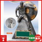 BT2332: футбол для bronze . индустрия сувенир бесплатный название inserting . индустрия память * футбол собрание рекомендация. футбол для bronze 