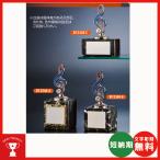  музыка для bronze Trophy BT2348A: темно синий прохладный * super превосходящий игрок ., духовая музыка,. индустрия память bronze Trophy 