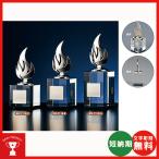  в общем bronze BW-2118-A: победа *MVP*...* специальный .*...* super превосходящий игрок .. подарок и т.п. использовать ... память bronze Trophy 