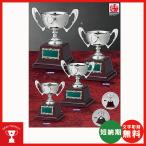  чемпионский кубок CD-1040-D: бейсбол * каратэ * Golf * футбол * копия * все жанр . победа кубок * чемпионский кубок 