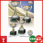  чемпионский кубок CI-1050-A: бейсбол * каратэ * Golf * футбол * копия * все жанр . победа кубок * чемпионский кубок 