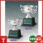  дешевый cup CT-1067-A resin ( полимер ) cup (. надеты металлизированный обработка ) много покупка ., собрание. участие .., низкий бюджет час 