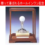 ホールインワン記念　　ホールインワントロフィー　G2：ホールインワンの記念ボールを飾れる記念品