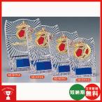 SO5019B: название inserting * знак скульптура бесплатный * бейсбол специальный ., много покупка ., собрание. участие .., низкий бюджет когда дешевый . награждение . победа .