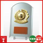  половина цельный мяч relief имеется .VSX.5568-D