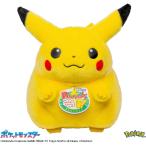 タカラトミー ポケットモンスター ポケモン30周年記念 おかえり