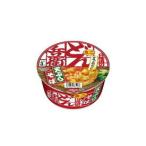 【12個セット】日清のどん兵衛天ぷらそばミニ４６【同梱不可】【※送料無料対象外商品】