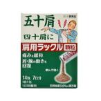 その他肩こり、腰痛、筋肉痛薬