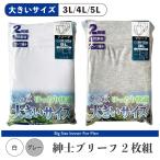 メール便対応・・2セットまで 大きいサイズ 紳士 ブリーフ 2枚組 3L 4L 5L 白/グレー sh13-824 スタンダード カラー 綿 大寸 無地 メンズ