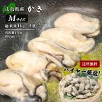 広島県産 冷凍かき M 総重量1kg 約50