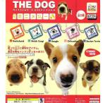 ●THE DOG ザ・ドッグ　ミニメジャー■５種 （メール便可能）