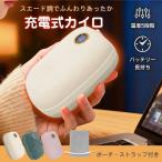 カイロ 充電式 充電式カイロ 電子カイロ 電気カイロ かいろ アウトドア充電式カイロ 充電カイロ 携帯カイロ 繰り返し使えるカイロ かわいい 電子ホッカイロ 充電
