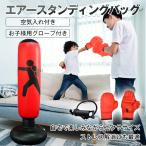 エアー スタンディングバッグ パンチバッグ 空気入れ付き サンドバッグ ボクシング ストレス発散 エクササイズ de085