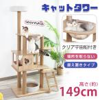 猫-商品画像