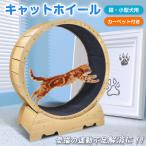 キャットホイール 猫の車輪 猫の回