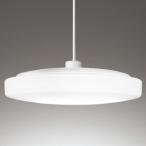 OP252800BRオーデリックペ...