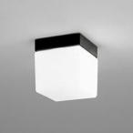 OW009378NRo-telik свет для ванной белый огонь лампа прибор 60W соответствует днем белый цвет защита от дождя .. type 