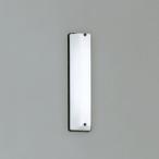 オーデリック LEDポーチライト FL10W相当 昼白色 OG254462